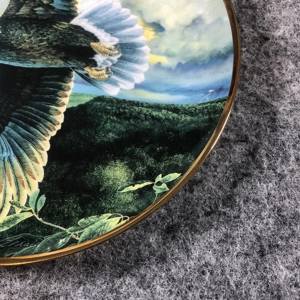 Vintage Save The‎ Eagle Proud And Free Multicolor Porcelain Plate U2357